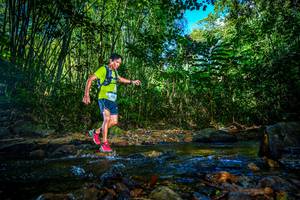 BIB: 
                            <button type="button" onclick="openModal(21764676)" class="btn btn-primary btn-sm float-right btn-popup" data-toggle="modal" data-target=".modal-high-quality">
                        <i class="fas fa-shopping-cart"></i> Add to Cart
                    </button>
                                            <button type="button" onclick="isThisMe(21764676, true)" class="btn btn-success btn-sm float-right btn-popup btn-isme hidden" data-toggle="tooltip" data-placement="bottom" title="นี่คือรูปของคุณใช่ไหม คลิกที่นี่เพื่อเอาเข้าอัลบั้ม">
                        <i class="fas fa-plus"></i> Add to album
                    </button>
                    <button type="button" onclick="isThisMe(21764676, false)" class="btn btn-warning btn-sm float-right btn-popup btn-isnotme hidden">
                        <i class="fas fa-ban"></i> Remove from album
                    </button>